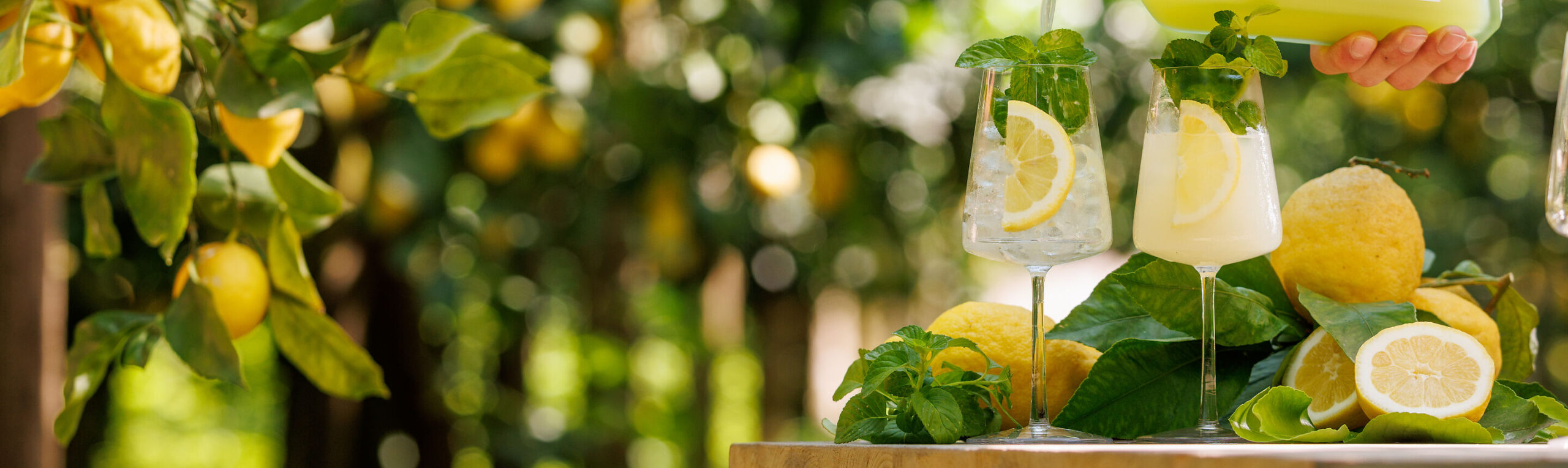 Limoncello Spritz - yaz içeceği